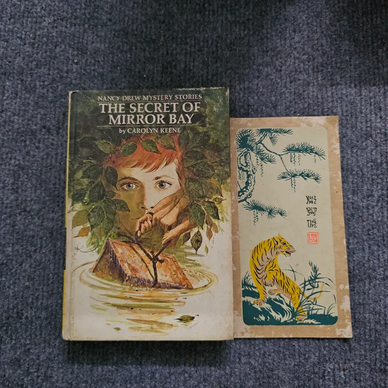 The secret of mirror bay 740843