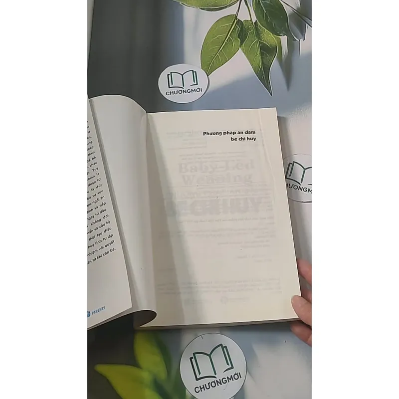 Phương pháp ăn dặm bé chỉ huy 688485