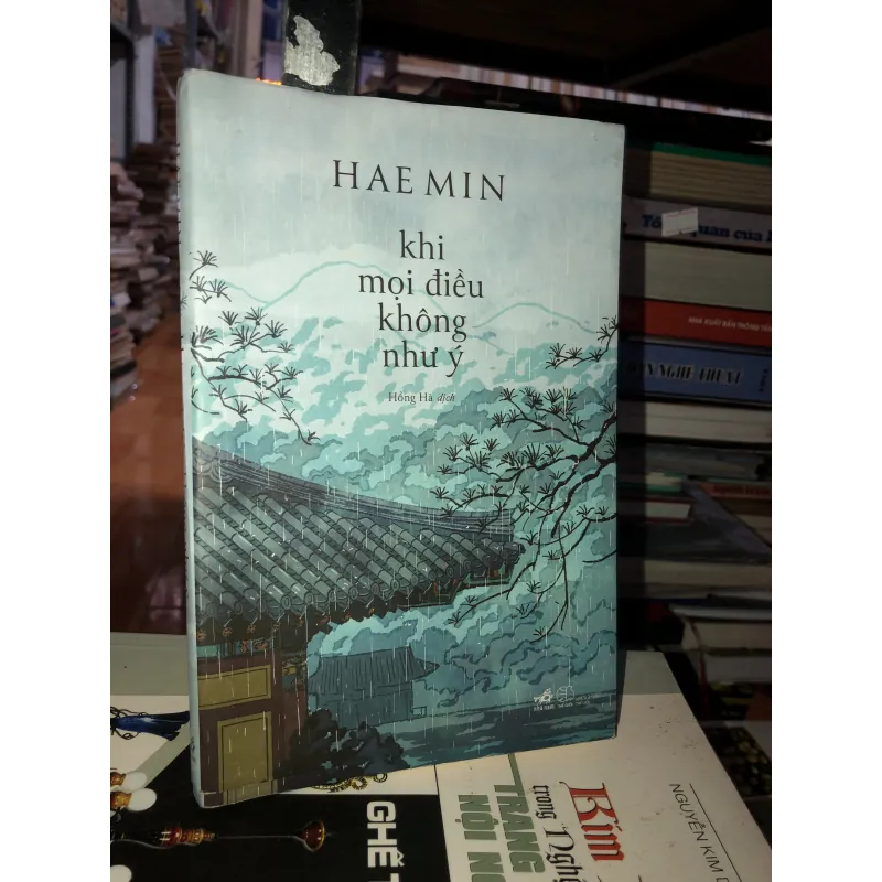 Khi mọi điều không như ý - Hae Min  1001952