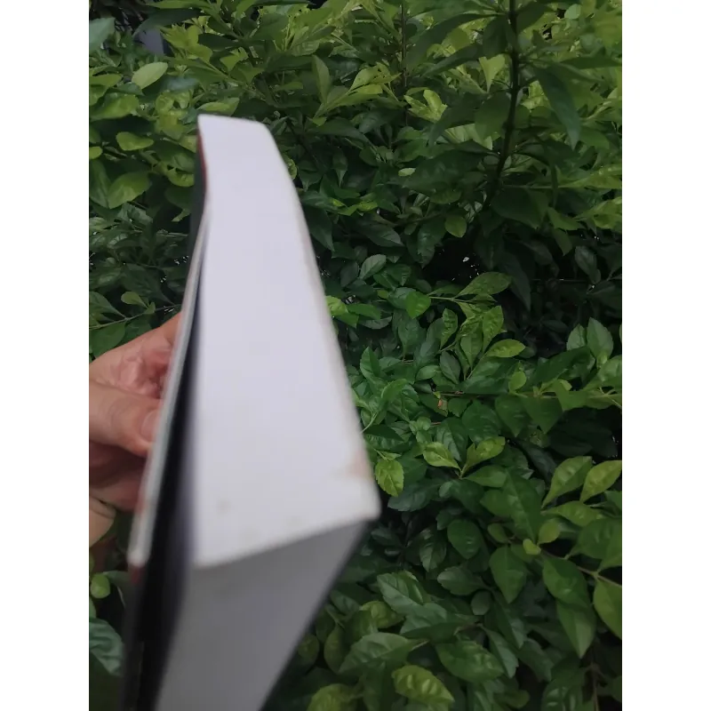 Mùa đông của Gunter tiểu thuyết của Juan Manuel Marcos  1001355