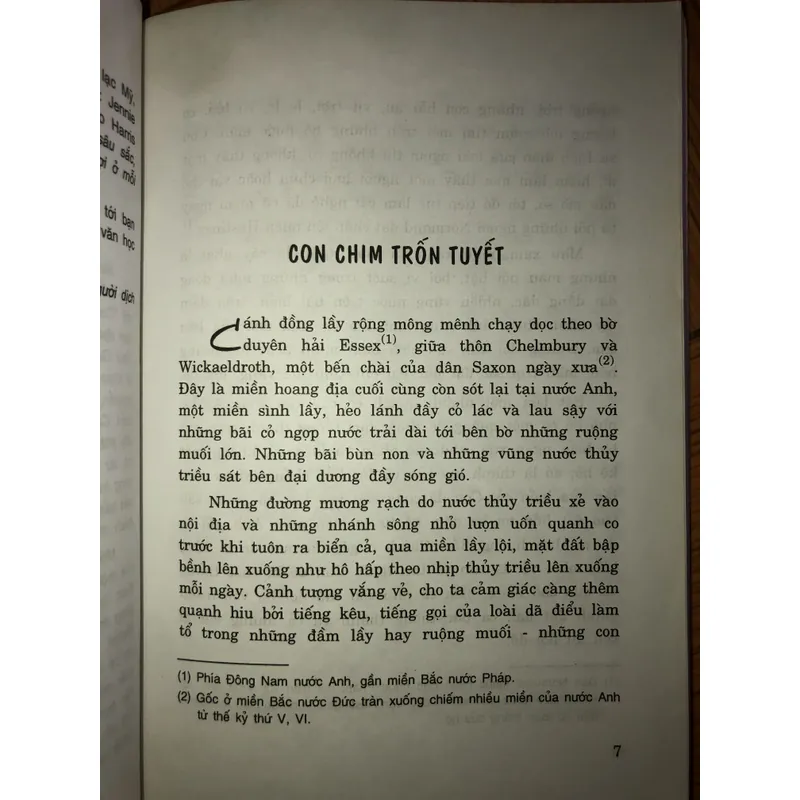 Con chim trốn tuyết 674603