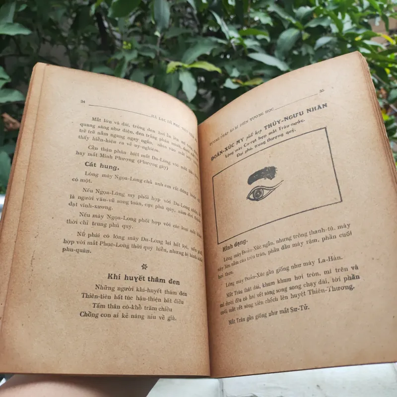 Tướng Pháp Áo Bí 928912