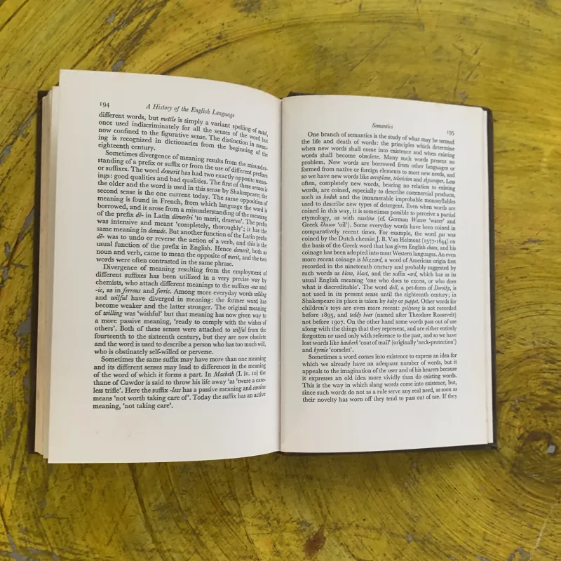 LỊCH SỬ NGÔN NGỮ ANH - A HISTORY OF THE ENGLISH LANGUAGE- G.L. BROOK 1031296