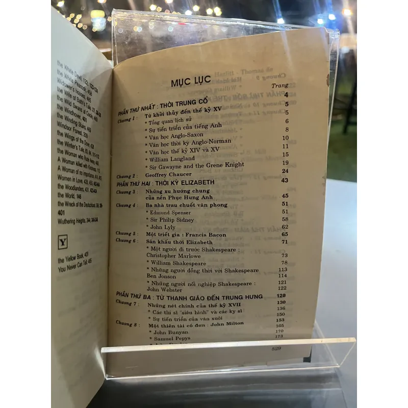 LỊCH SỬ VĂN HỌC ANH - NGUYỄN THÀNH THỐNG 731291