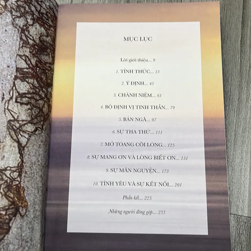 Trí tuệ những hiểu biết thay đổi cuộc đời- Oprah winfrey. 7a1 738681