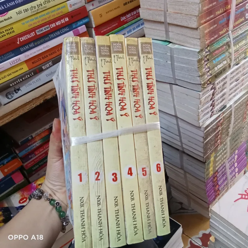 Thư tình ngoạ ý - Ngoạ Long Sinh - Y Thanh  1027260