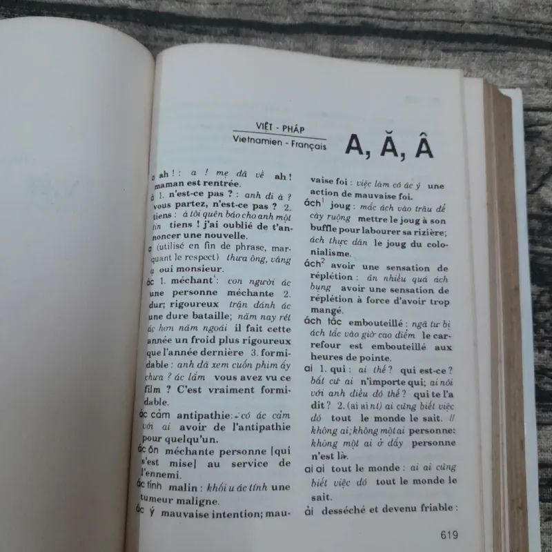 Từ điển VIỆT PHÁP - PHÁP VIỆT. Tg Giáo sư Lê Khả Kế. Nxb Khoa học Xã hội 1990 779221