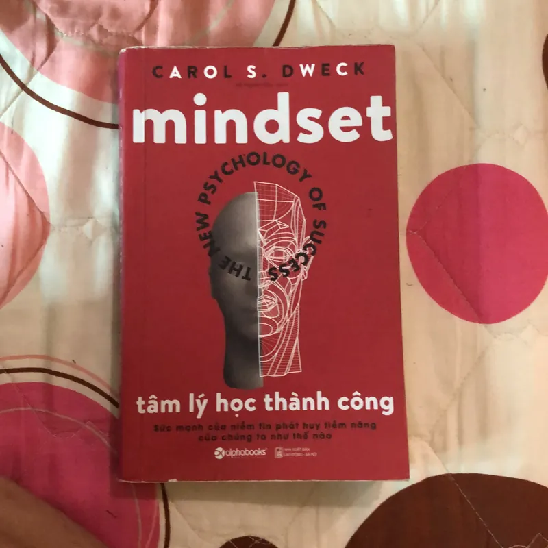 Mindset- tâm lý học thành công  689025