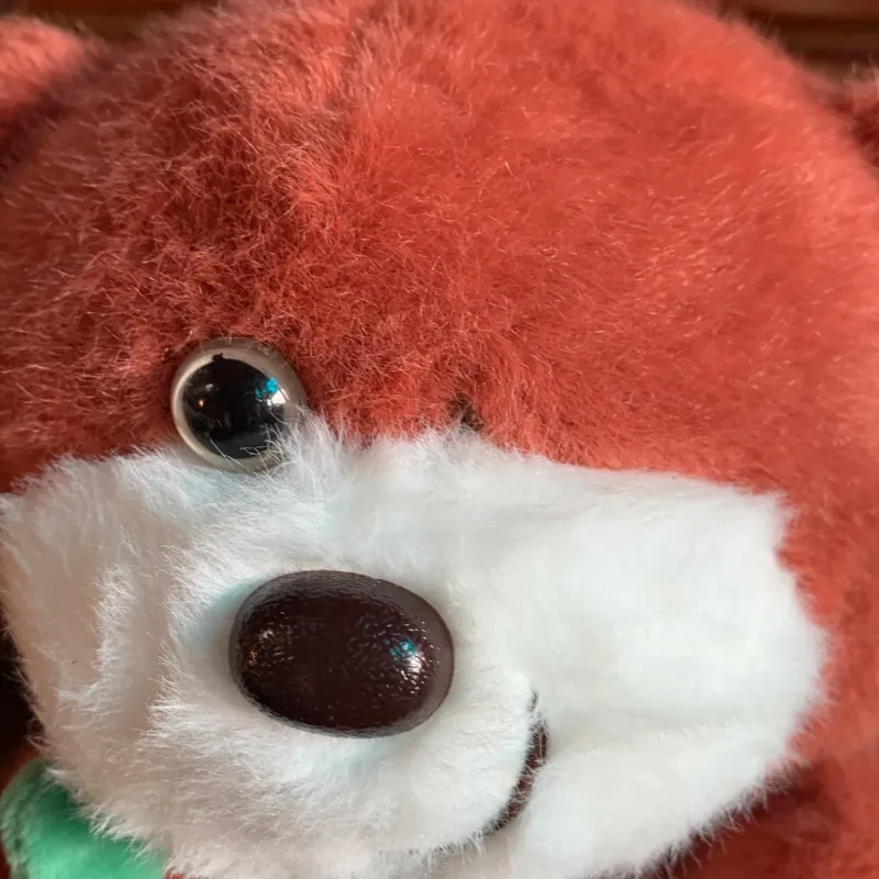 Gấu bông ôm hoa  1013716