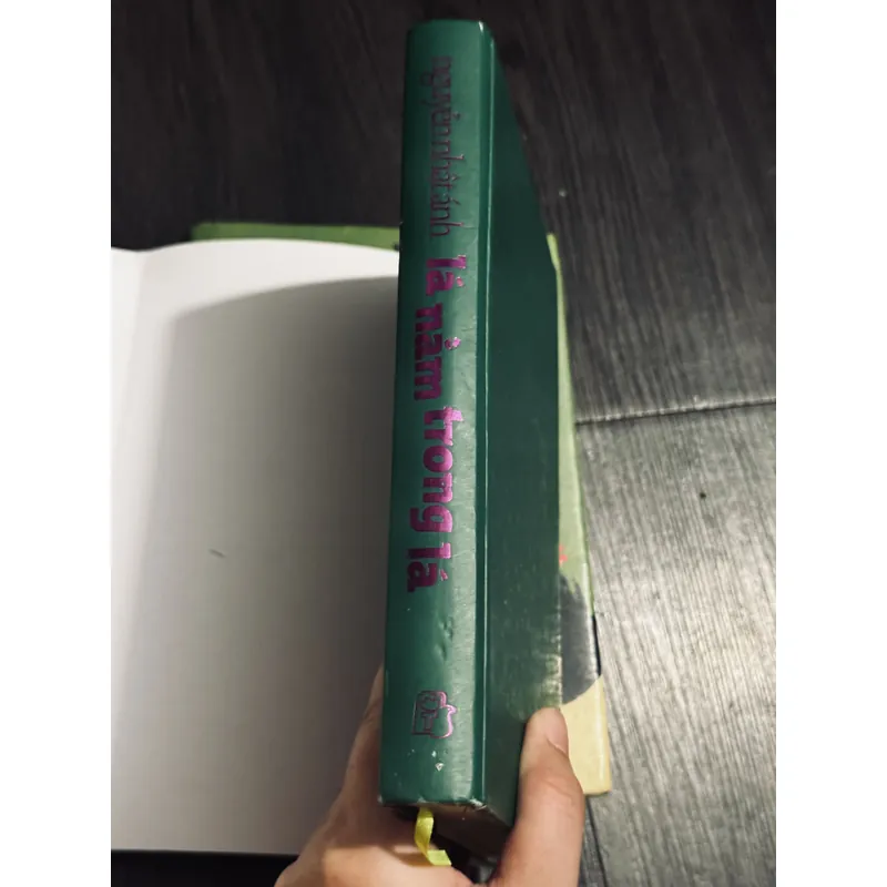 Combo 2c Nguyễn Nhật Ánh bìa cứng (đọc mô tả) 706695