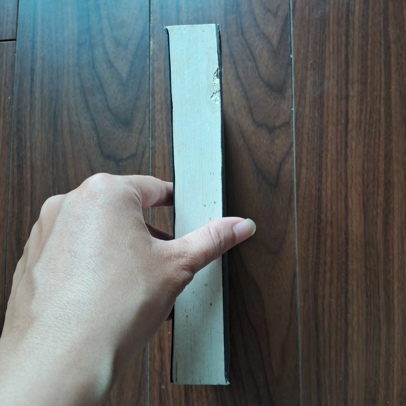 Đóa hồng xôn xao 504975