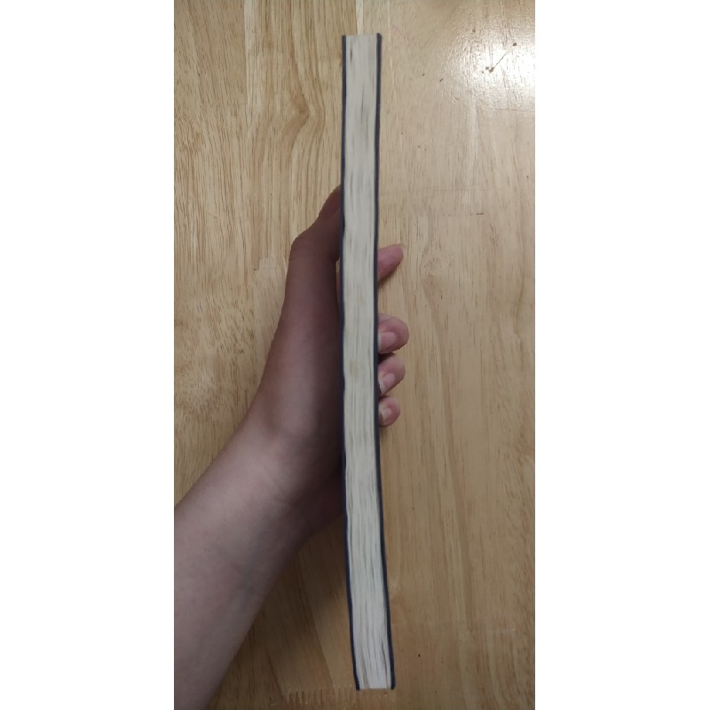 Lưng Chừng Cô Đơn - Nguyễn Ngọc Thạch 261