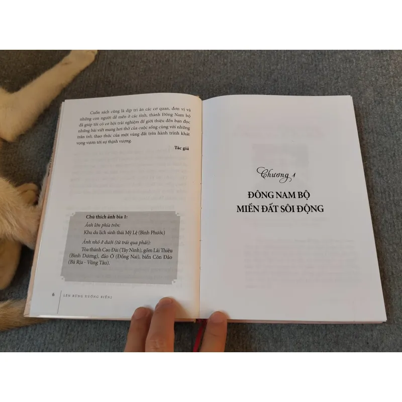 LÊN RỪNG XUỐNG BIỂN 727183