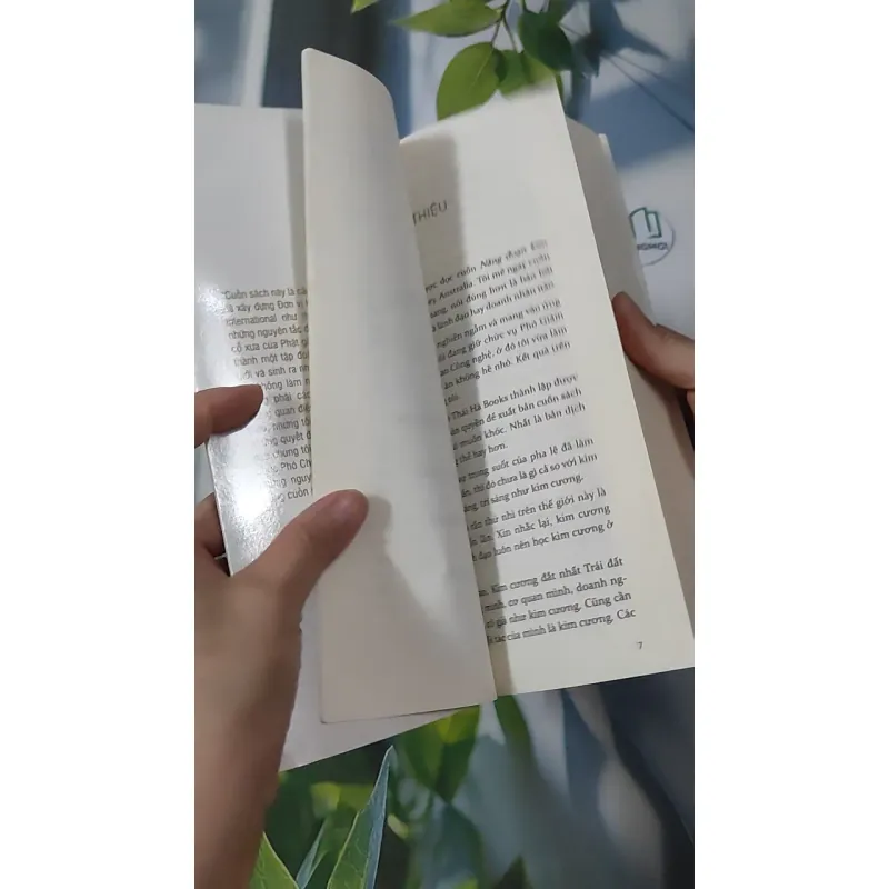 Năng Đoạn Kim Cương - Geshe Michael Roach 961153