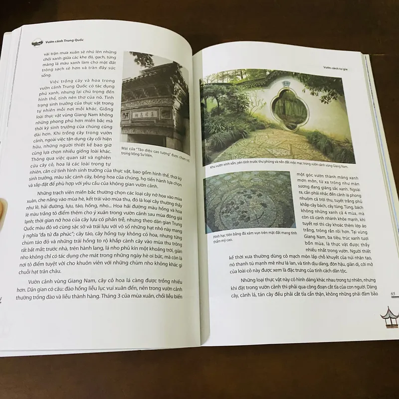 Vườn cảnh Trung Quốc 695934