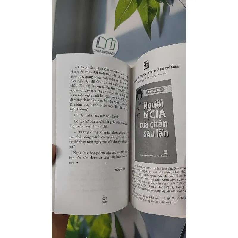 Hương xuân ngọt ngào - Hàng Châu 798388