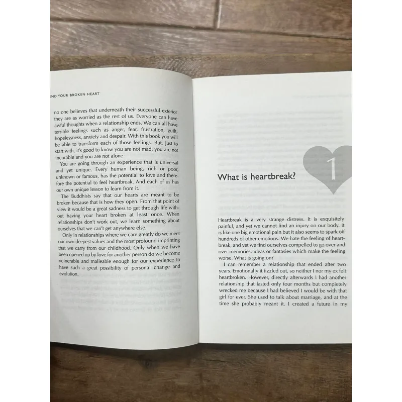 I Can Mend Your Broken Heart - Paul McKenna & Hugh Willbourn 734644