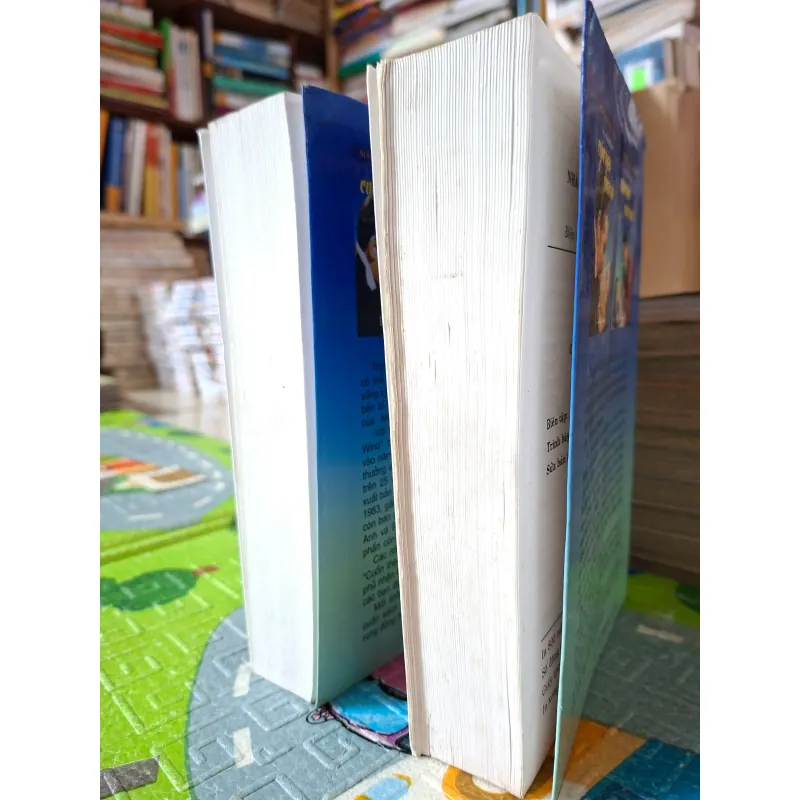 Cuốn theo chiều gió ( bộ 2q) 785714