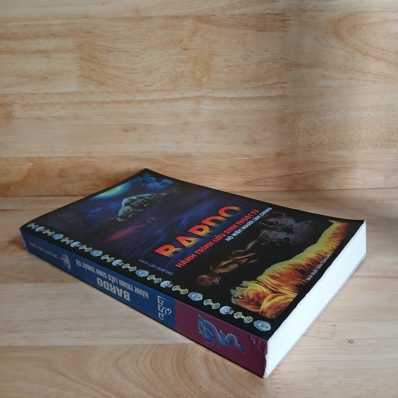 BARDO Hành Trình Liễu Sinh Thoát Tử - Drukpa Việt Nam 461365