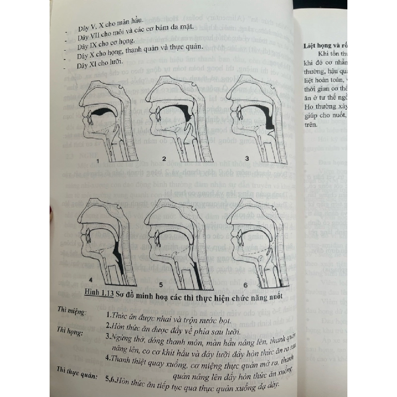Viêm họng amidam và VA - PGS,TS. Nguyễn Hữu Khôi 719525
