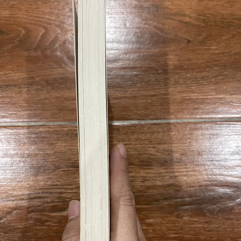 Đông Phương huyền bí - Paul Brunton Thanh Tâm (6) 715898