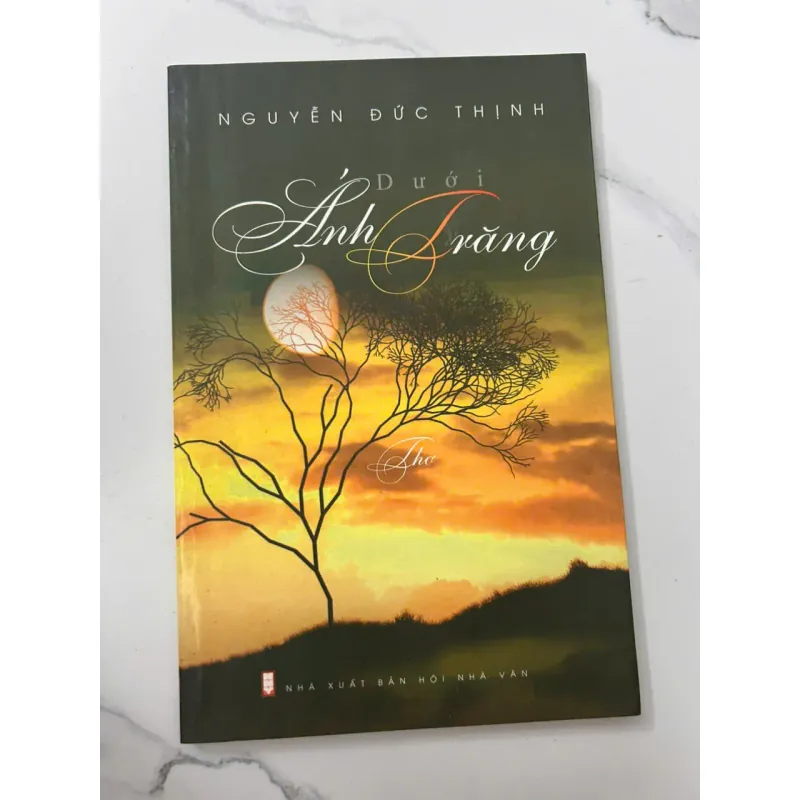 Dưới Ánh Trăng – Nguyễn Đức Thịnh 698722