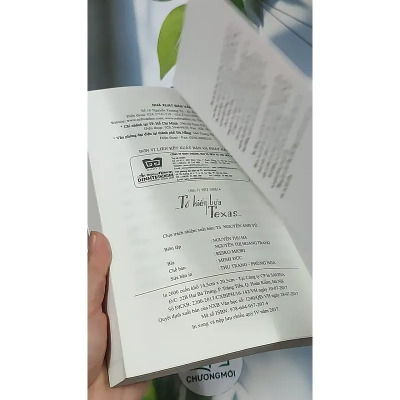 Tổ kiến lửa Texas - Shanna Swendson 688697