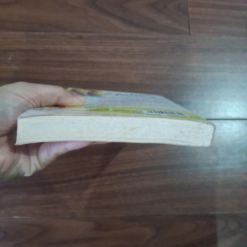 Nụ hôn thần tượng 508858