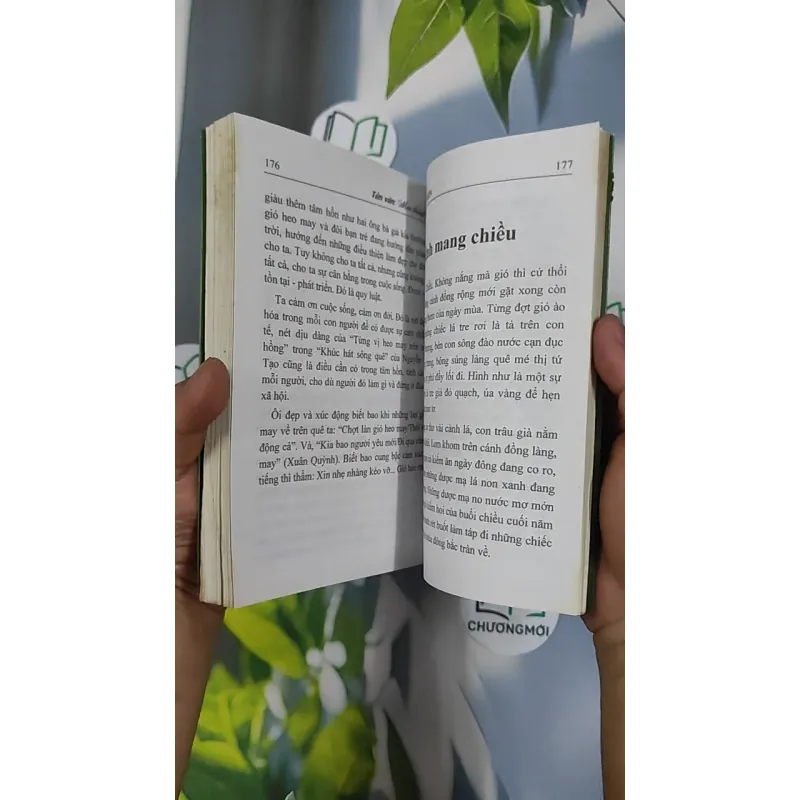 Mưa tháng giêng - Vũ Hoàng Luyến 798421