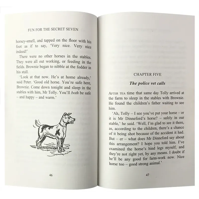 Sách The Secret Seven - Trọn bộ 16 quyển 747024