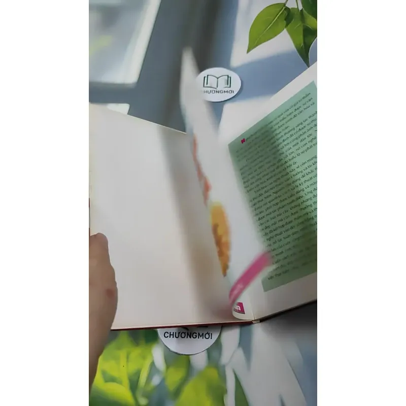 Nghệ Thuật Trang Trí Rau Củ Quả - Quỳnh Hương 727306