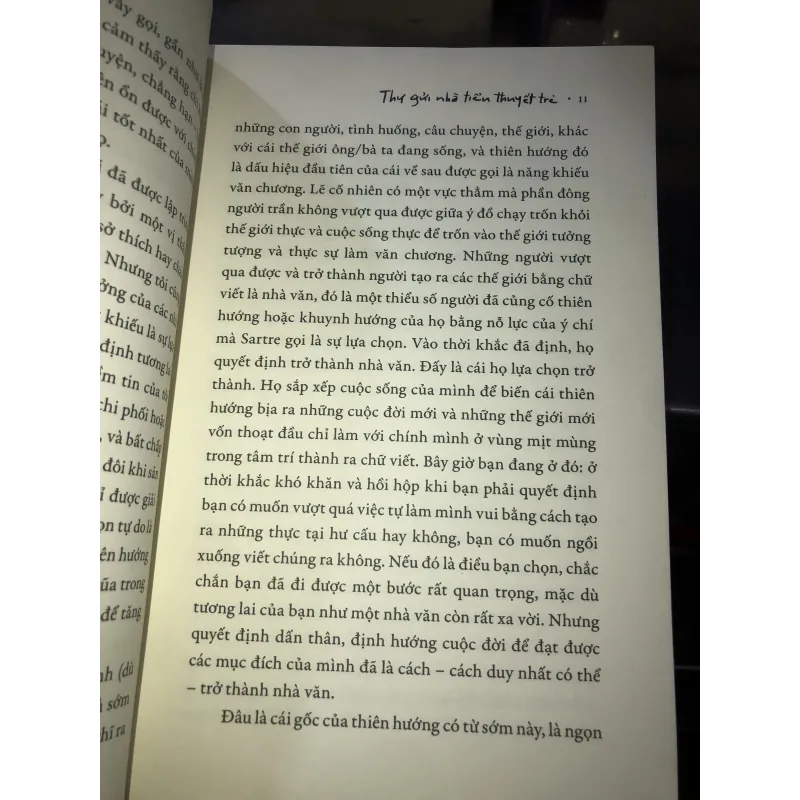 Thư gửi nhà tiểu thuyết trẻ - Maria Vargas Llosa 1027073