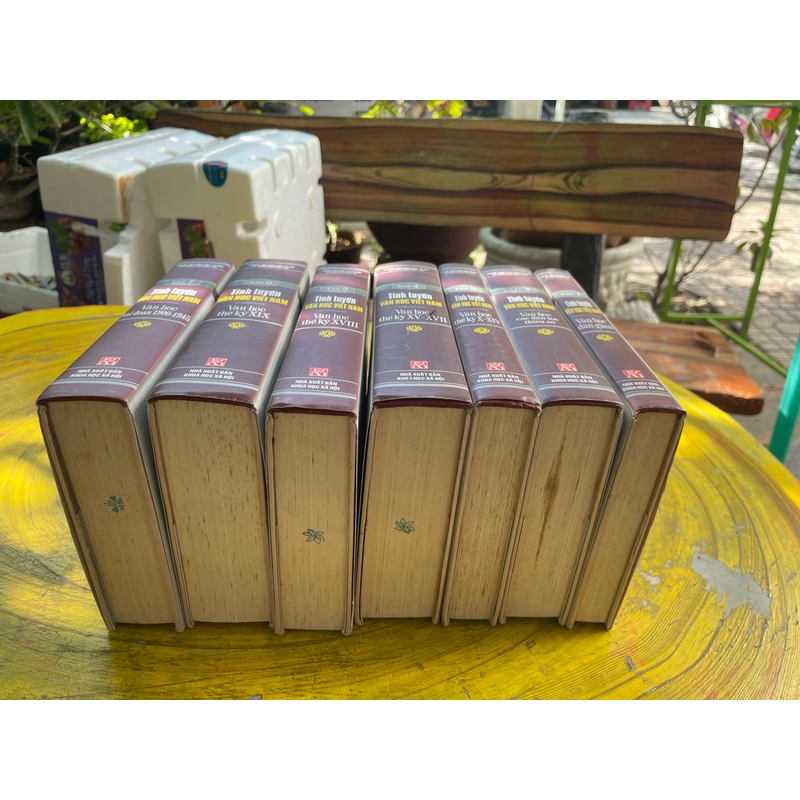 Combo Tinh tuyển Văn học Việt Nam 463883