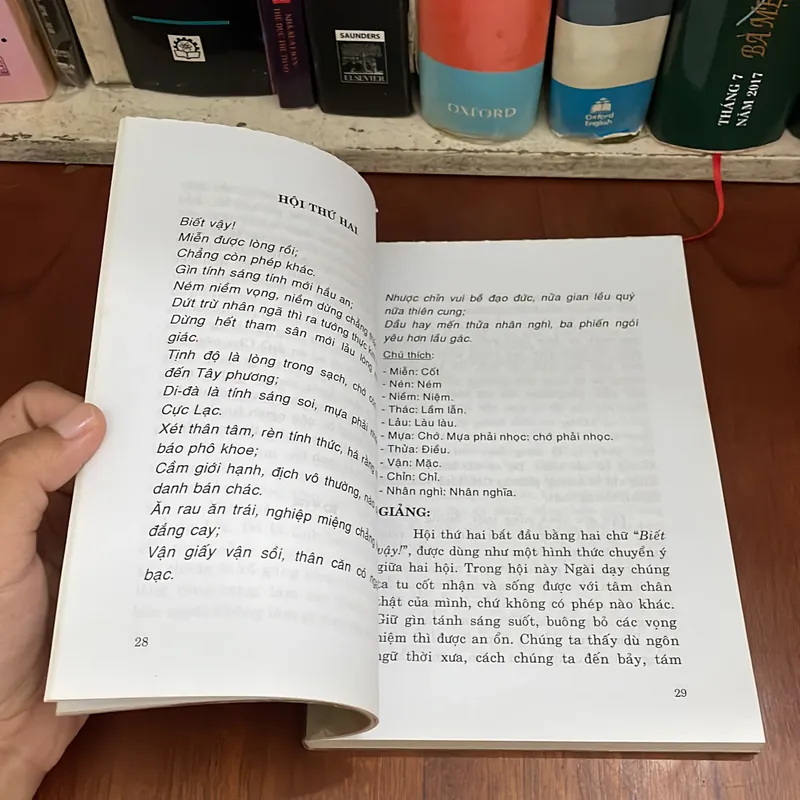 II Tựa sách: Nửa Ngày Của Thái Thượng Hoàng - Thích Nhật Quang - 2010 562187