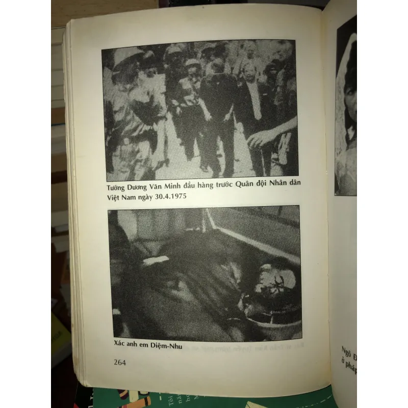 Trần Lệ Xuân - Giấc mộng chính trường - Lý Nhân 936859