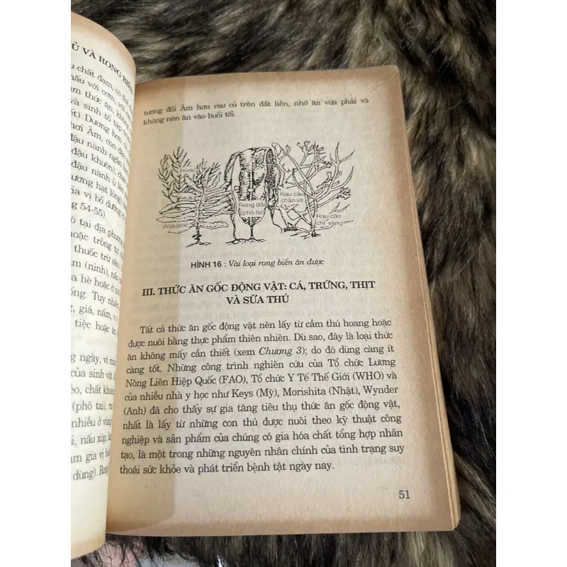 Phương pháp thực dưỡng  693163