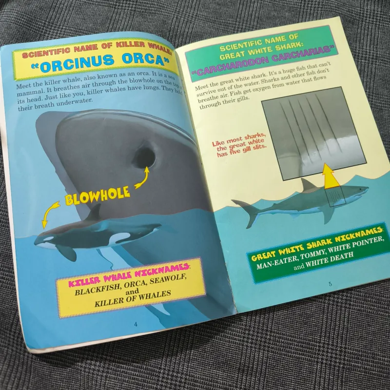 Who Would Win? Killer Whale vs. Great White Shark - Jerry Pallotta 754576