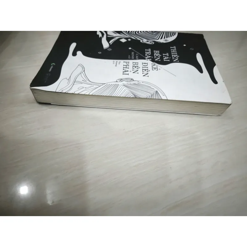 Thiên tài bên trái - kẻ điên bên phải 718477