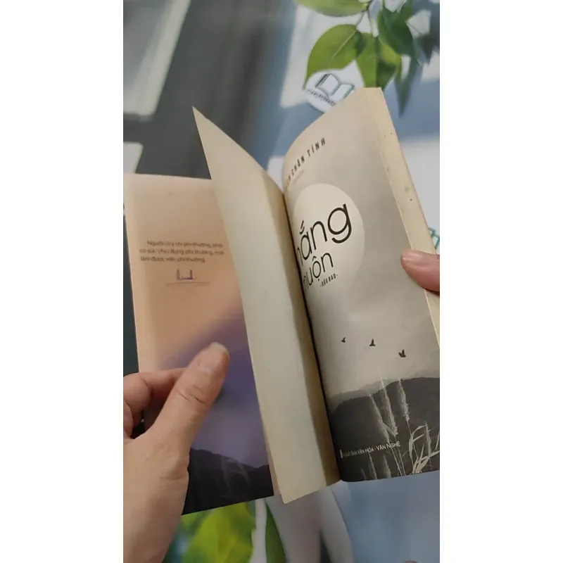 Nắng Muộn - Đậu Bảo 776107