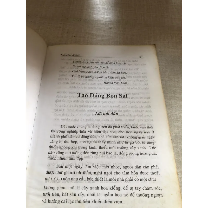 Tạo dáng bonsai 780635