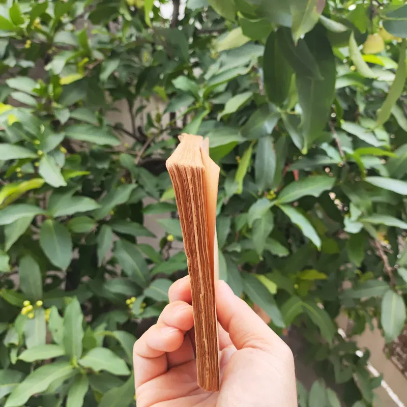 Dưới Lá Cờ Vẻ Vang Của Đảng Vì Độc Lập Tự Do Vì Chủ Nghĩa Xã Hội  711952