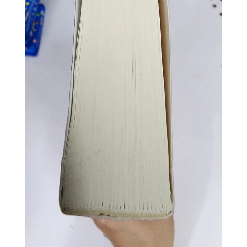 Sách Sơn ca vẫn hót của Kristin Hannah bìa mềm mới 99% 506752