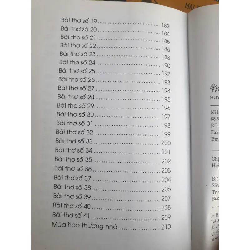 Mùa Hoa Thương Nhớ 749125