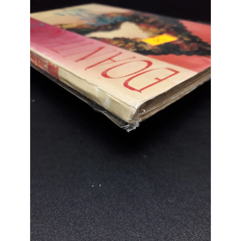 Ví Dụ Ta Yêu Nhau mới 80% ố vàng (có bọc) 1995 HCM0107 Đoàn Thạch Biền VĂN HỌC 916173