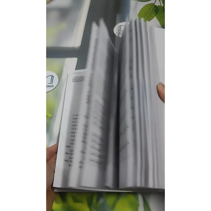 Lịch Vạn Niên Từ Năm 2000 - 2100 - Diệu Tuệ 727382