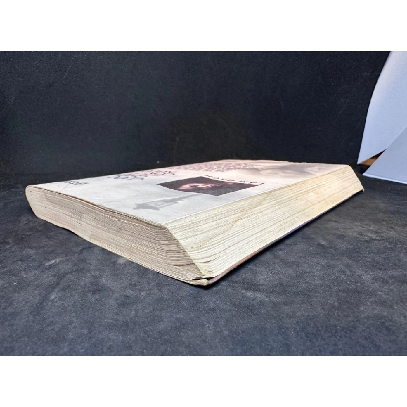 Cuộc chiến trong một con người (2004) Lâm Bạch New 70% SBM0103 450584