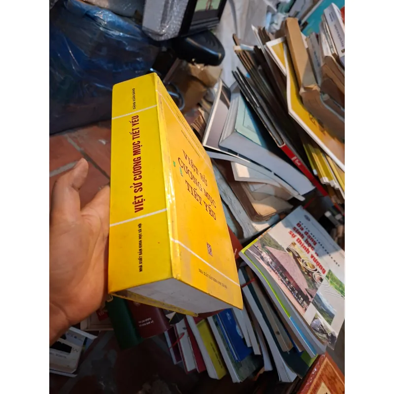 Việt sử cương mục tiết yếu 932130