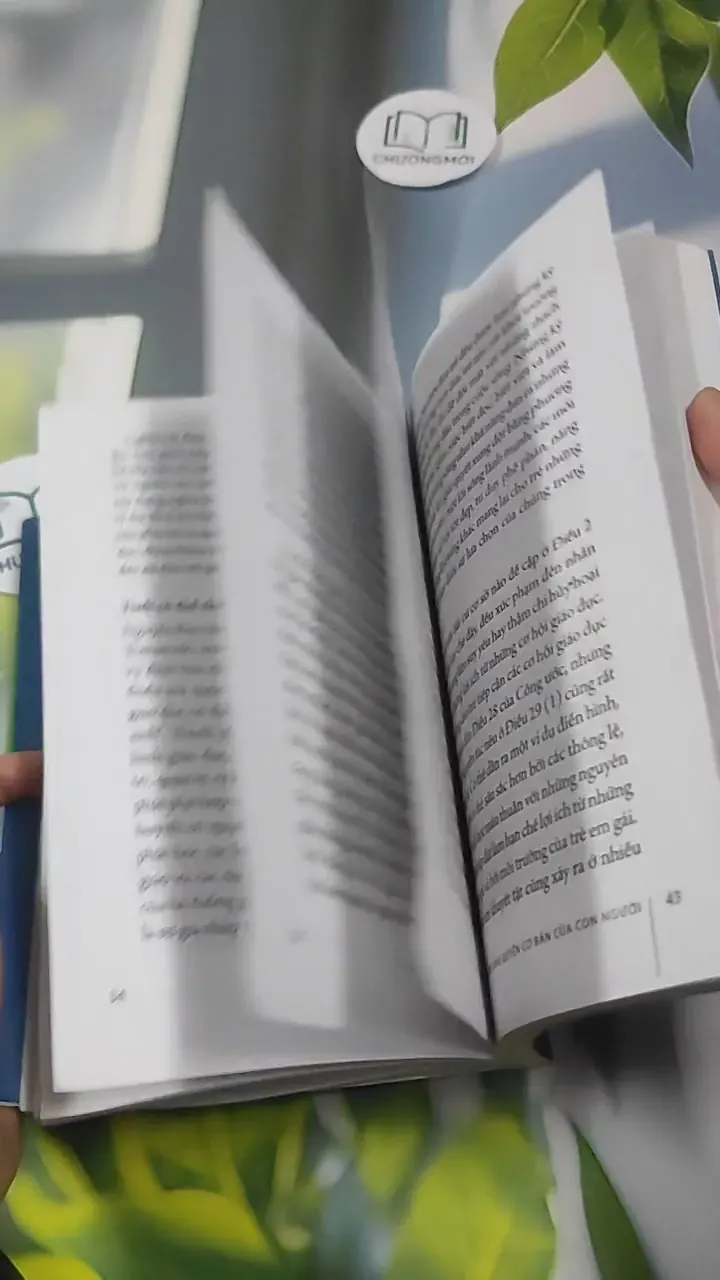 Tìm Hiểu Về Quyền Được Giáo Dục Như Quyền Cơ Bản Của Con Người - PGS. TS. Mai Hồng Quỳ 727347