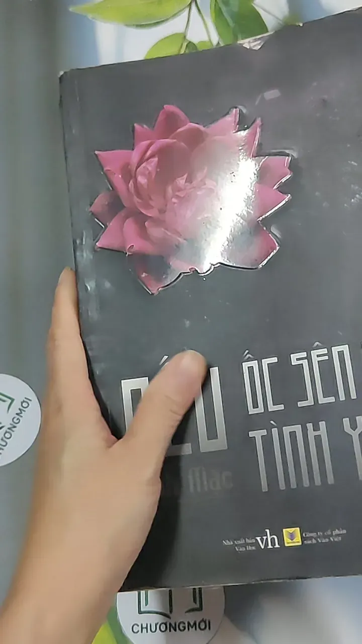 Nếu ốc sên có tình yêu - Đinh Mặc 688711