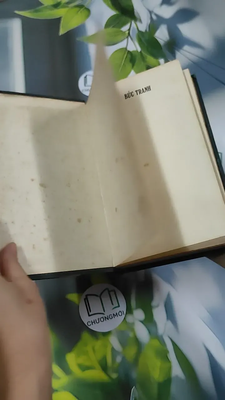 Bức Tranh - Đanhin Granhin 750804